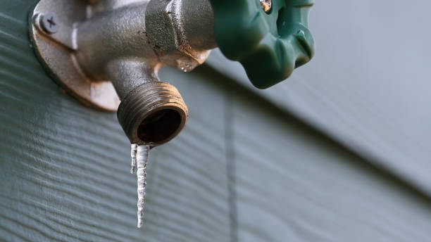 Best Residential Plumbing Services  in Greenville, PA